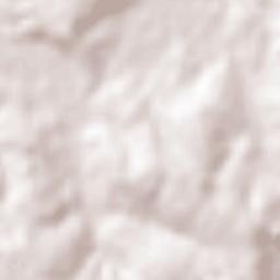 São Francisco de Assis Terrain Map