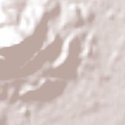 Dona Francisca Terrain Map