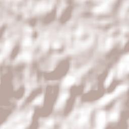 Fazenda Vilanova Terrain Map