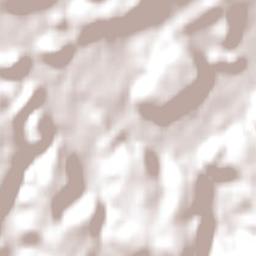 Lindolfo Collor Terrain Map