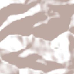 Riozinho Terrain Map