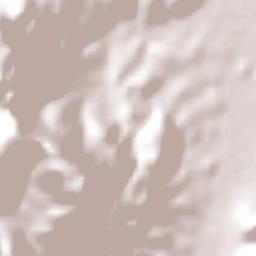 São João do Polêsine Terrain Map