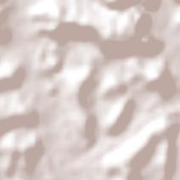 Novo Hamburgo Terrain Map