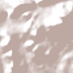 Springbok Terrain Map