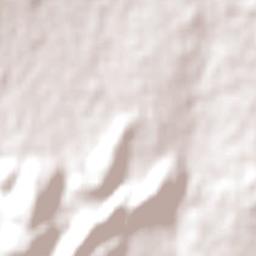 Glen Innes Terrain Map