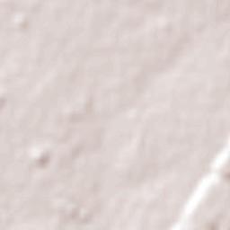 Bonpland Terrain Map