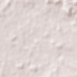 Sapucaia do Sul Terrain Map