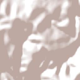 Mpumalanga Terrain Map