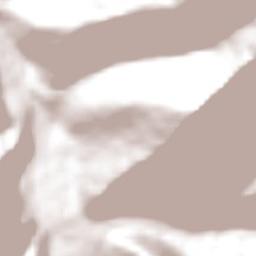 Paihuano Terrain Map