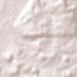 Minas do Leão Terrain Map