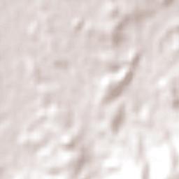 Eldorado do Sul Terrain Map