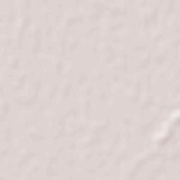 Villa Trinidad Terrain Map