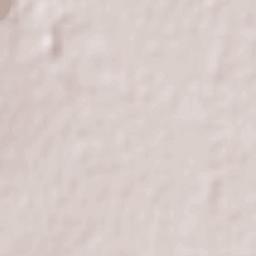 San José de Jáchal Terrain Map