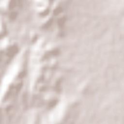 San José de la Dormida Terrain Map