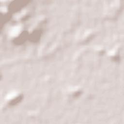 Barra do Ribeiro Terrain Map