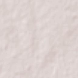 San José de Feliciano Terrain Map