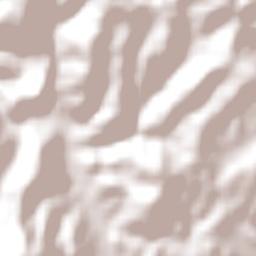 Barão do Triunfo Terrain Map