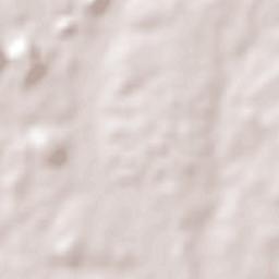 Juan Pujol Terrain Map