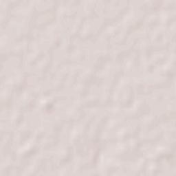 Los Conquistadores Terrain Map