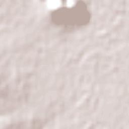 Boggabri Terrain Map