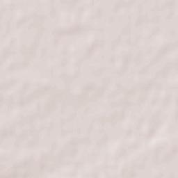 Obispo Trejo Terrain Map