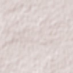 Somerville Terrain Map