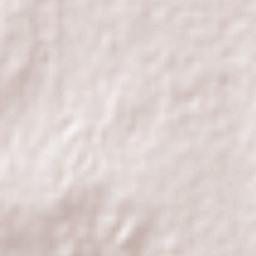 Westonia Terrain Map