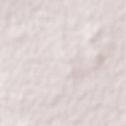 Stoneville Terrain Map