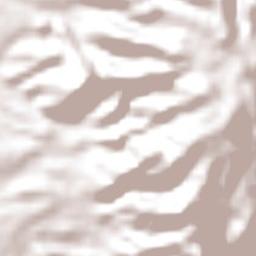 Los Cocos Terrain Map