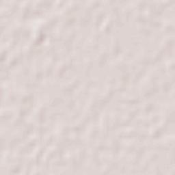 Mostardas Terrain Map