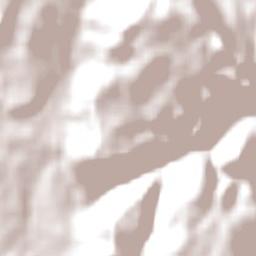 Burgersdorp Terrain Map