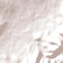 Kootingal Terrain Map