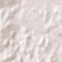 San Carlos Terrain Map