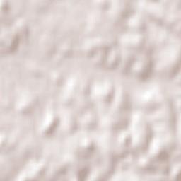 Tranqueras Terrain Map