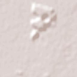 Laguna Paiva Terrain Map