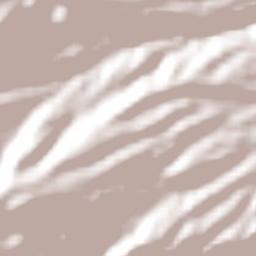 Departamento de Calingasta Terrain Map