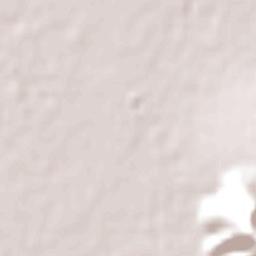 Departamento de San Martín Terrain Map