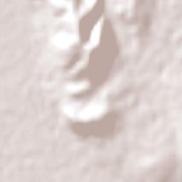 Quirindi Terrain Map