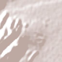 Departamento de Rivadavia Terrain Map