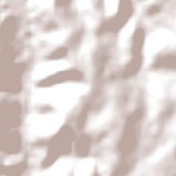 Lower Chittering Terrain Map