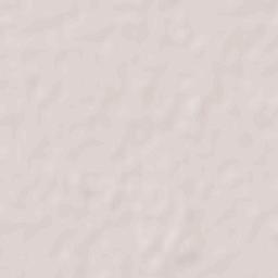 San Carlos Centro Terrain Map