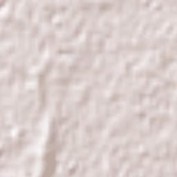 The Vines Terrain Map