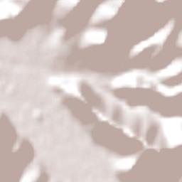 Salamanca Terrain Map