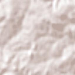 Vichadero Terrain Map