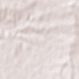 Oro Verde Terrain Map