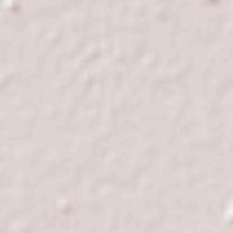 Capão do Leão Terrain Map