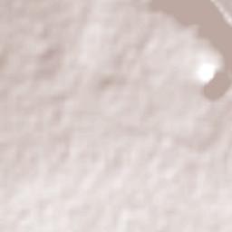 Queenstown Terrain Map