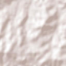 Pedro Osório Terrain Map