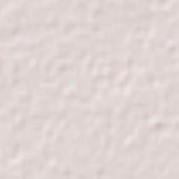 Departamento de San Javier Terrain Map