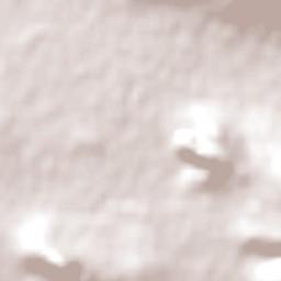 West Coast District Municipality Terrain Map